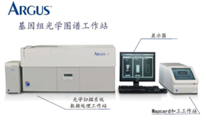 全基因組光學圖譜分析系統 數據處理的核心技術與應用